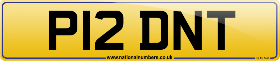 P12 DNT