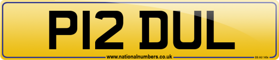P12 DUL