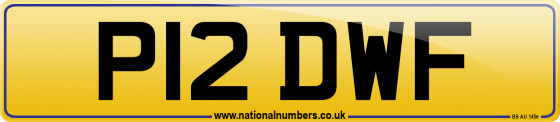 P12 DWF