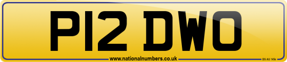 P12 DWO