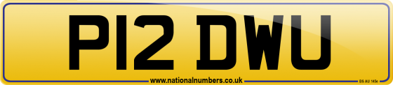 P12 DWU