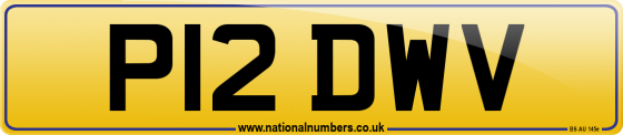 P12 DWV