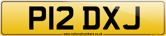P12 DXJ