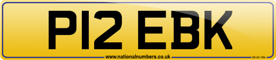 P12 EBK
