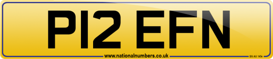 P12 EFN