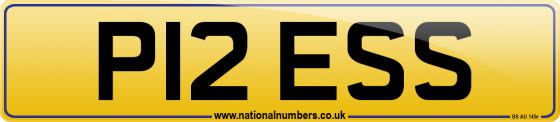 P12 ESS