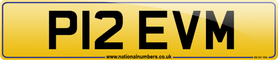 P12 EVM