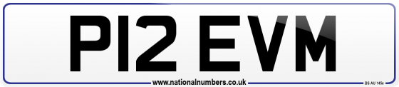 P12 EVM