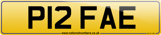 P12 FAE