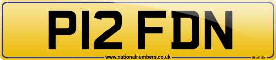P12 FDN
