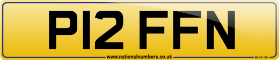 P12 FFN