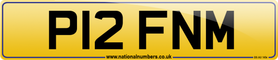 P12 FNM