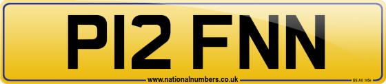 P12 FNN