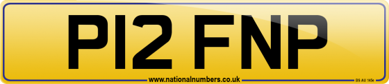 P12 FNP