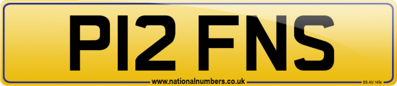 P12 FNS