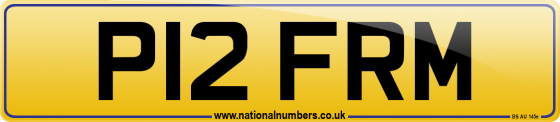 P12 FRM