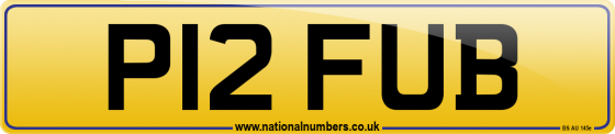 P12 FUB