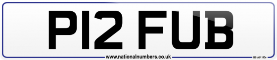 P12 FUB