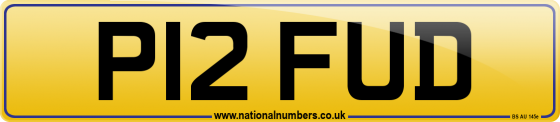 P12 FUD