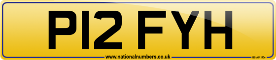 P12 FYH