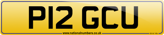 P12 GCU
