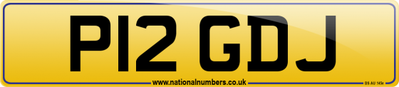 P12 GDJ
