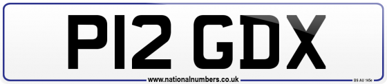 P12 GDX