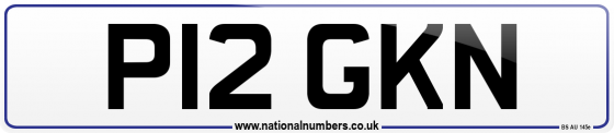P12 GKN