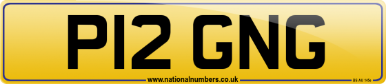 P12 GNG