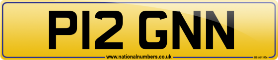 P12 GNN