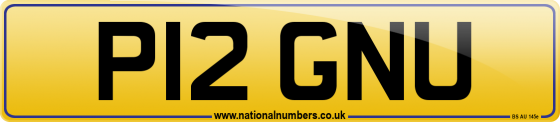P12 GNU