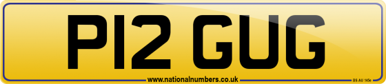 P12 GUG
