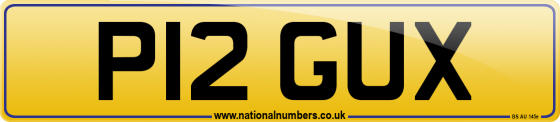 P12 GUX