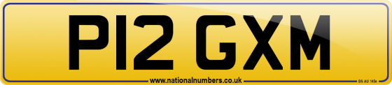 P12 GXM