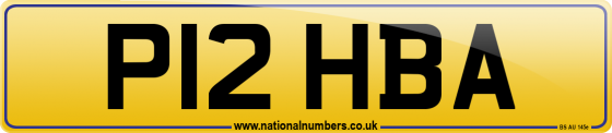 P12 HBA