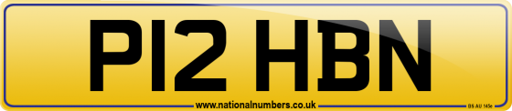 P12 HBN