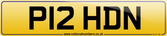 P12 HDN