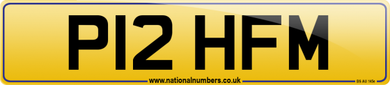 P12 HFM
