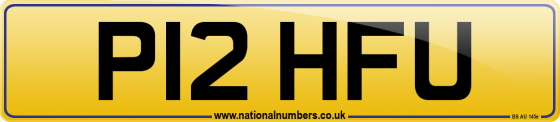 P12 HFU
