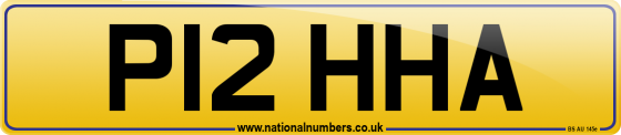 P12 HHA