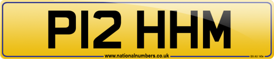 P12 HHM
