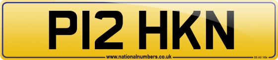 P12 HKN