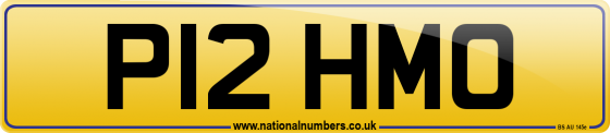 P12 HMO