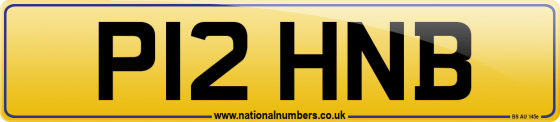 P12 HNB