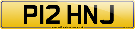 P12 HNJ