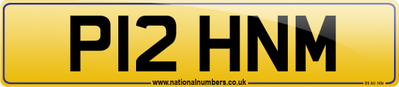 P12 HNM