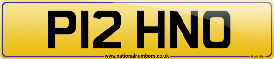 P12 HNO