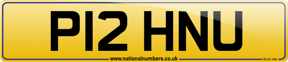 P12 HNU