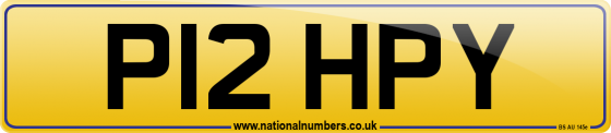 P12 HPY