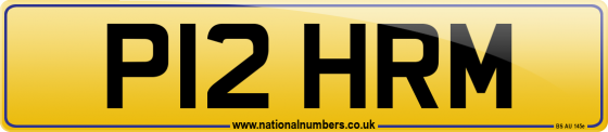 P12 HRM